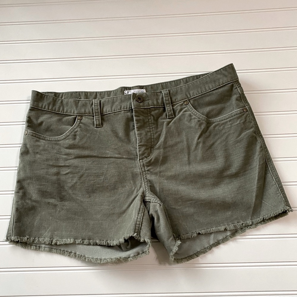 Carve Designs Oahu 4” Shorts